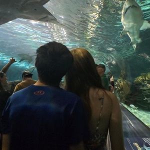 Meet your Posher, Gracie